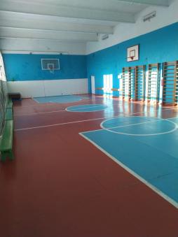 спортивный зал (в том числе приспособленные для использования инвалидами и лицами с ОВЗ)